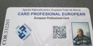 Cardul profesional european va fi distribuit somerilor de ANOFM. Cum arata si cum se foloseste?