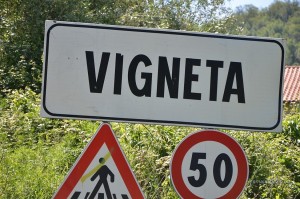 Guvernul pregătește introducerea unei taxe de poluare sub formă de vignetă